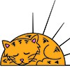 Sunny Harbour Cat & Kitten Rescue